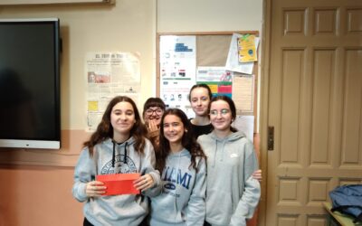 Christmas cake contest finalists 2023