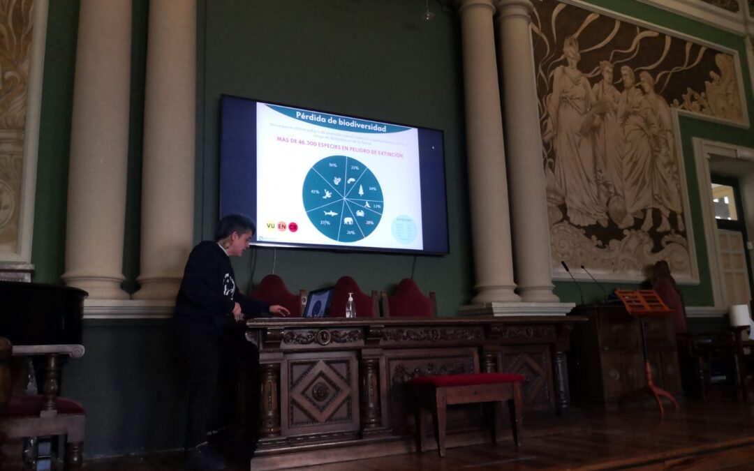 Taller «Raíces y brotes»