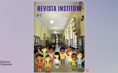 Revista Instituto Nº17